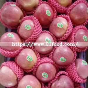 New Crop Qinguan Apple From Reliable Supplier