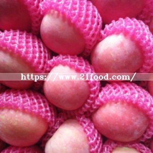 Top Quality Fresh Red FUJI Apple From Orchard