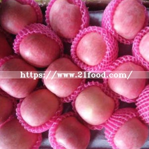 Top Quality Fresh Red FUJI Apple From Orchard