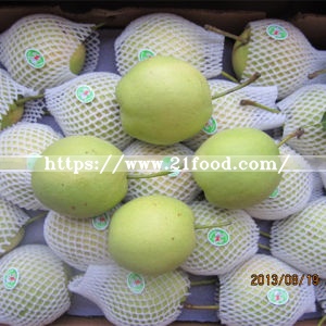 Fresh Juicy Green Shandong Pear