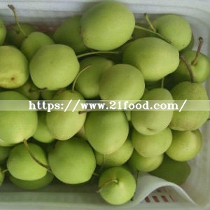 Fresh Juicy Green Shandong Pear