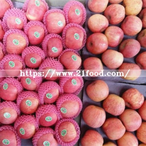 Best FUJI Apple at Competitive Price