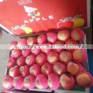 Best FUJI Apple at Competitive Price