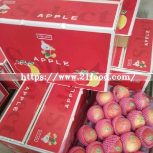Good Quality of Fresh Red Qinguan Apple