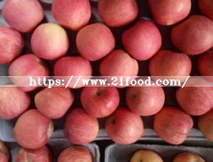 Fresh Red FUJI Apple with Global Gap