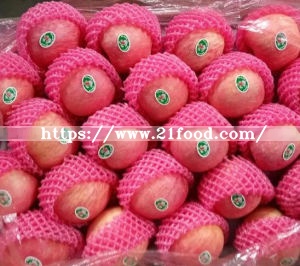 Fresh Red FUJI Apple with Global Gap