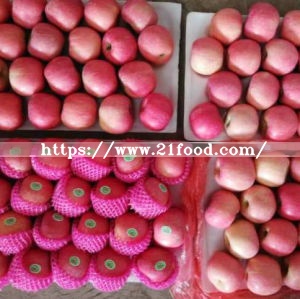 Fresh Red FUJI Apple with Global Gap