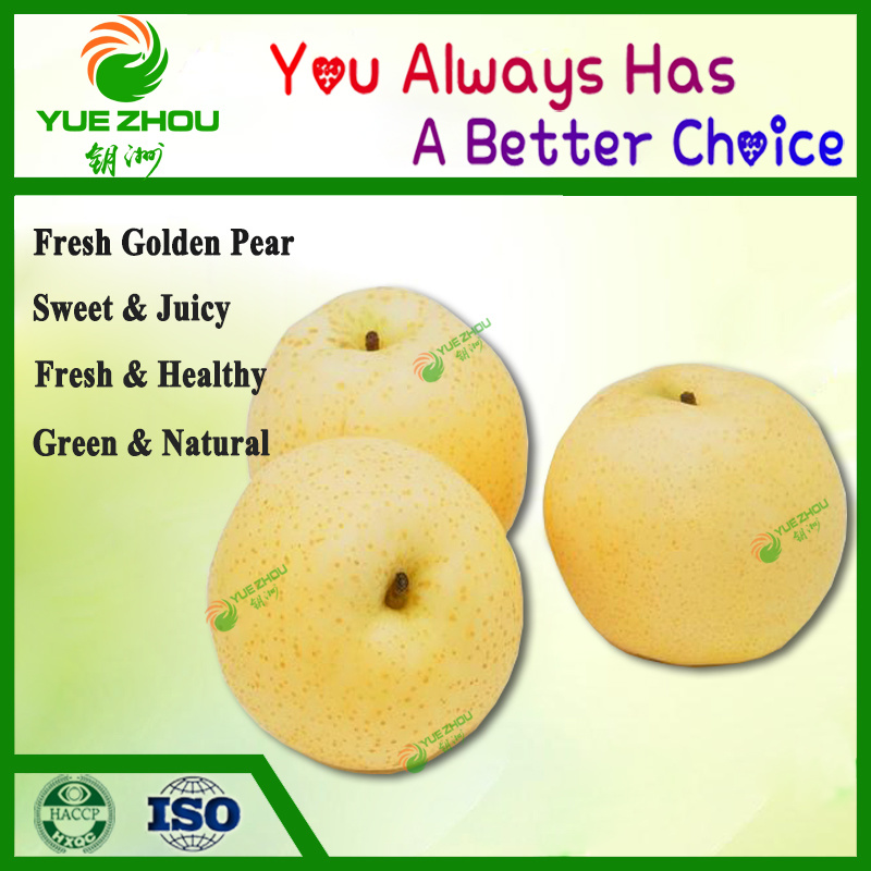 2018 New Crop Fresh Pear Golden Pear for Sale with Cheap Price