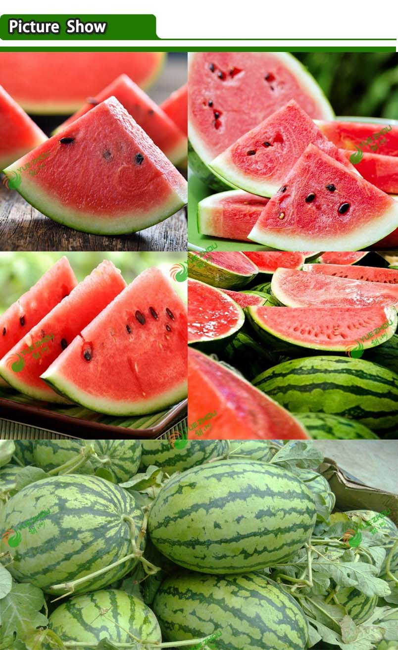 Competitive Wholesale Fresh Organic Watermelon with Cheap Price,China ...