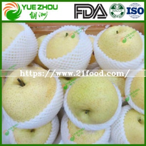 Top Sale Fresh Fruit Sweet Golden Pears with Juicy and Tasty
