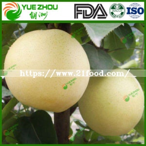 2018 New Crop Fresh Pear Golden Pear for Sale with Cheap Price