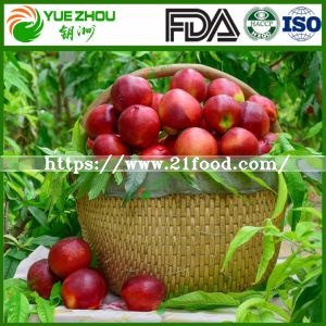 2019 New Crop Fresh Nectarines From Shandong China with Price