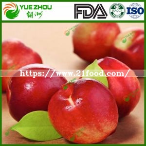 2019 New Crop Fresh Nectarines From Shandong China with Price