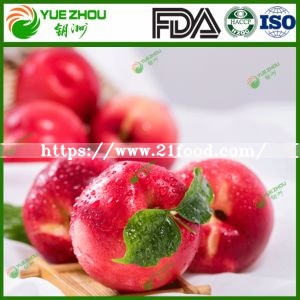 2019 New Crop Fresh Nectarines From Shandong China with Price
