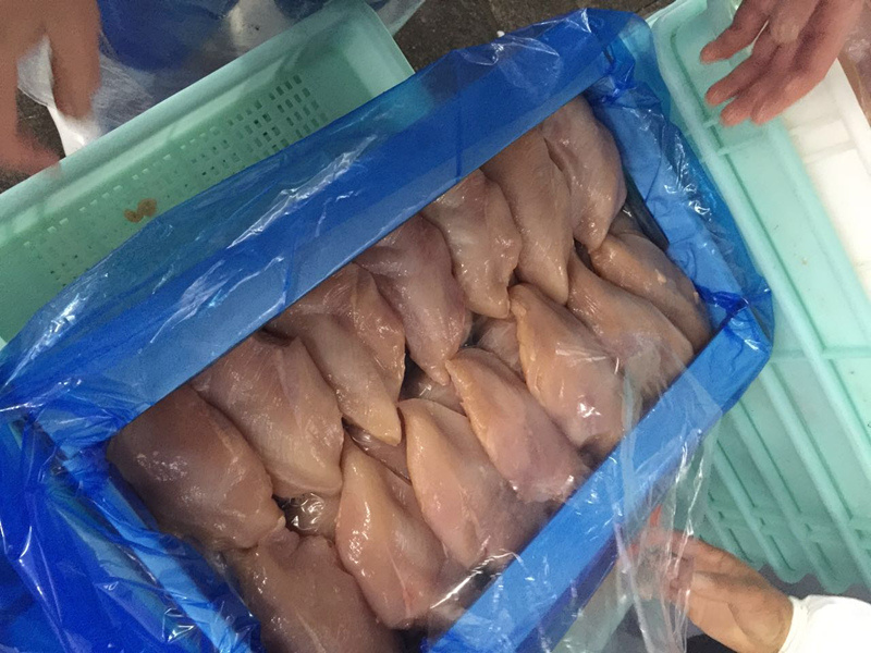 Frozen Halal Chicken Breast Fillets Skinelss Boneless