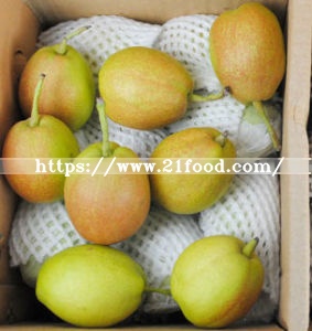 Fresh Fragrant Pear