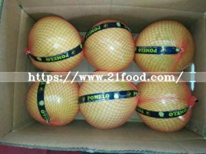 New Crop Fresh Honey Pomelo