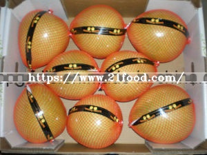 New Crop of Fresh Honey Pomelo