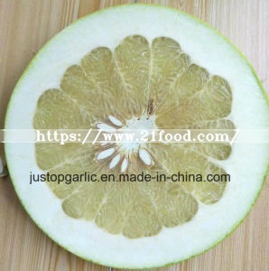 New Crop Honey Pomelo of Good Quality