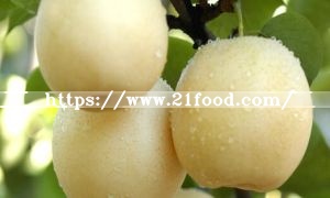 Fresh Pear Fruit Ya Pear for Sale