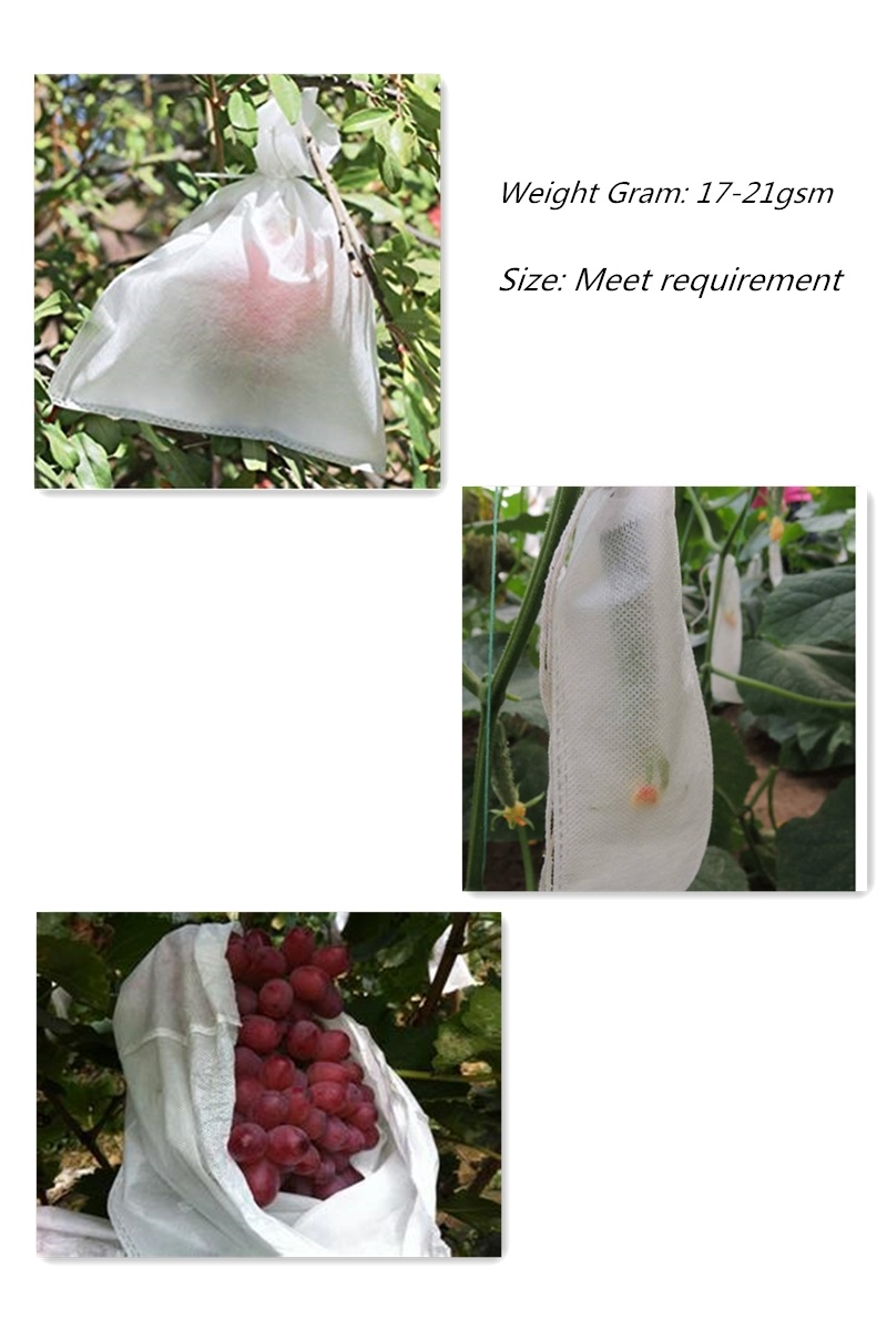 UV Grape Bag PP Spunbond Non-Woven Fabric Jc-012