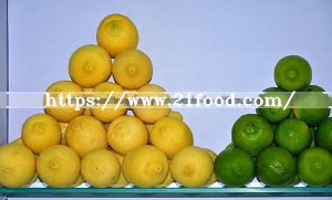 New Crop High Quality Fresh Lemons