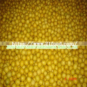 New Crop High Quality Fresh Lemons