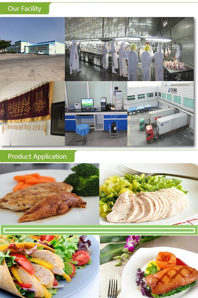 Frozen Halal Chicken Breast Skinless with Good Price