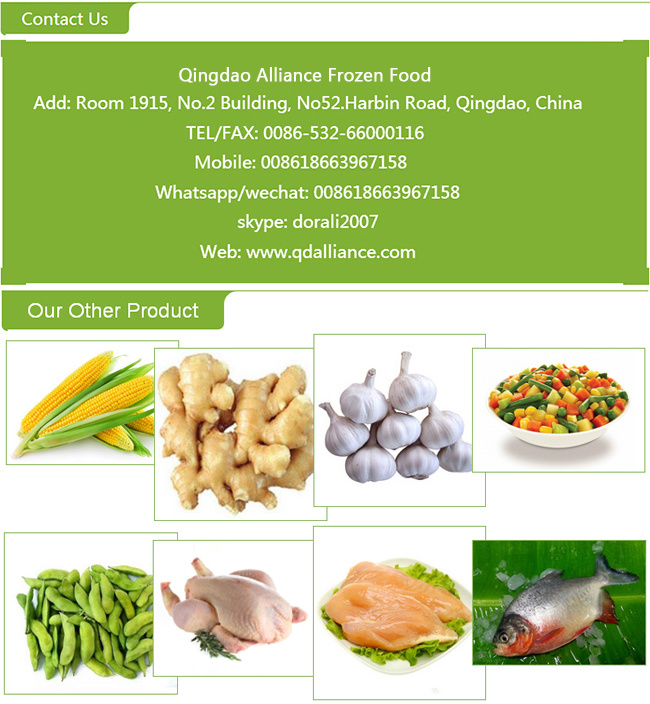 Frozen Halal Chicken Breast Skinless with Good Price