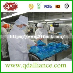 Frozen Halal Chicken Breast Skinless with Good Price
