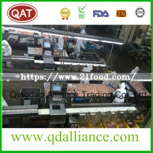 Frozen Halal Chicken Breast Fillet