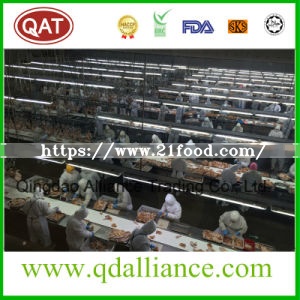 Frozen Halal Chicken Breast Fillet Without Skin and Bone