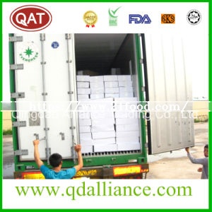 IQF Frozen Chicken Breast Fillet