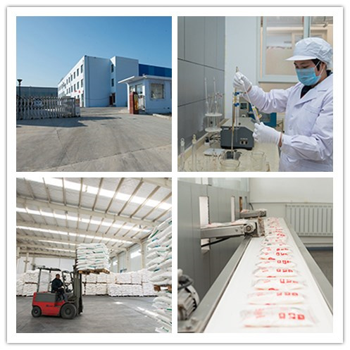 Pure Msg Monosodium Glutamate Sodium Glutamate Manufacturer