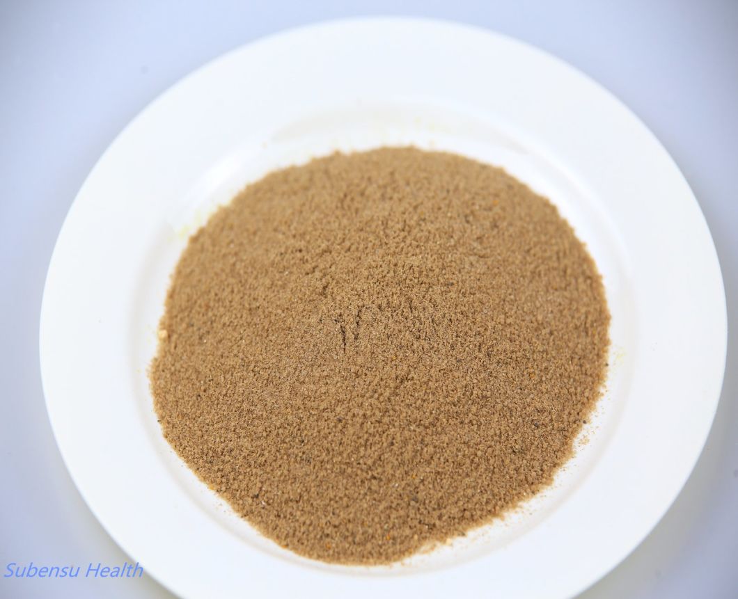 Seasoning Powder Beef Flavor for Soup