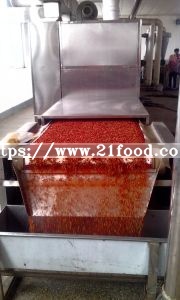 Red Chilli Crushed with Invisible Seed