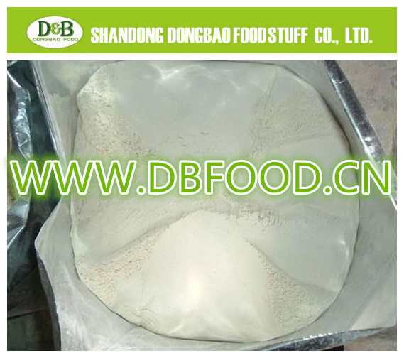 Air-Dried Garlic Products (Flakes, Granules & Powder) From Factory