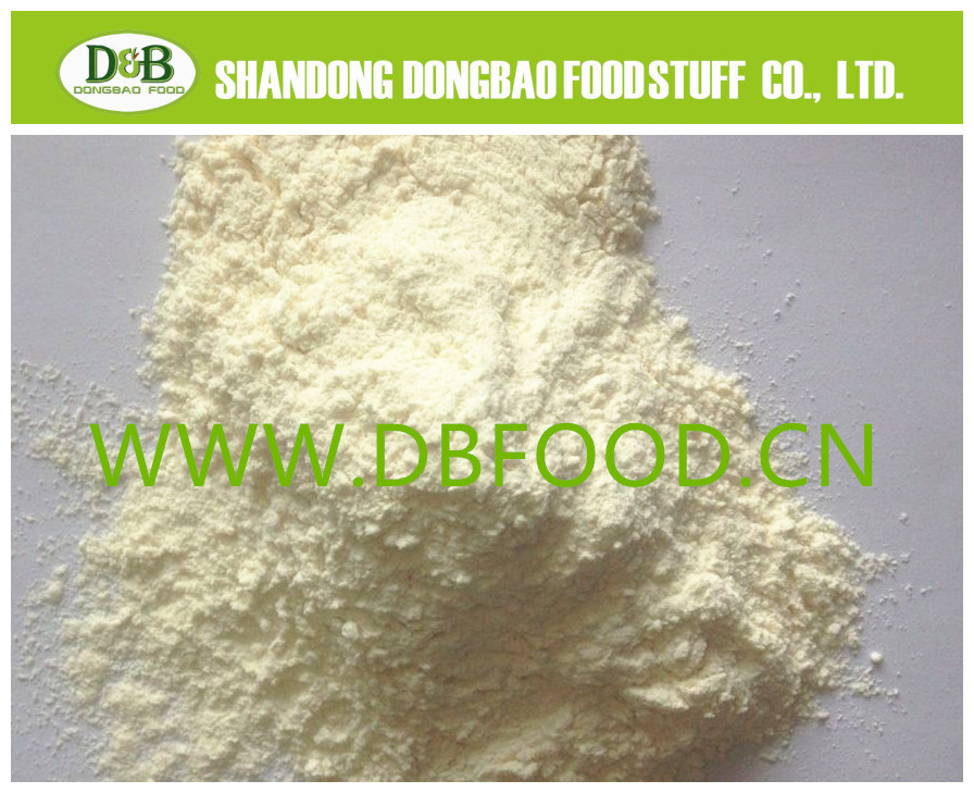 Dehydrated Pure White Garlic Dehydrated Garlic Powder Price