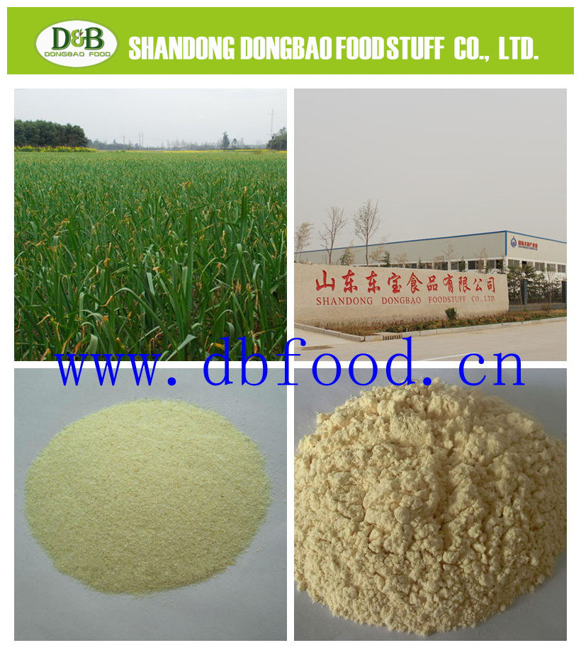 Dehydrated Pure White Garlic Dehydrated Garlic Powder Price