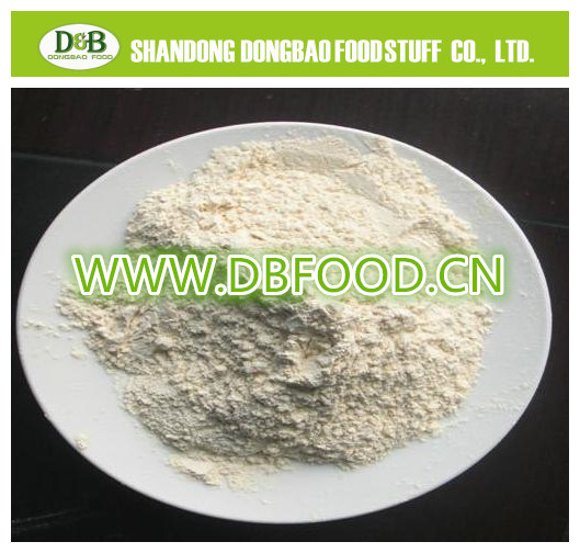 Light White Dry Garlic Powder