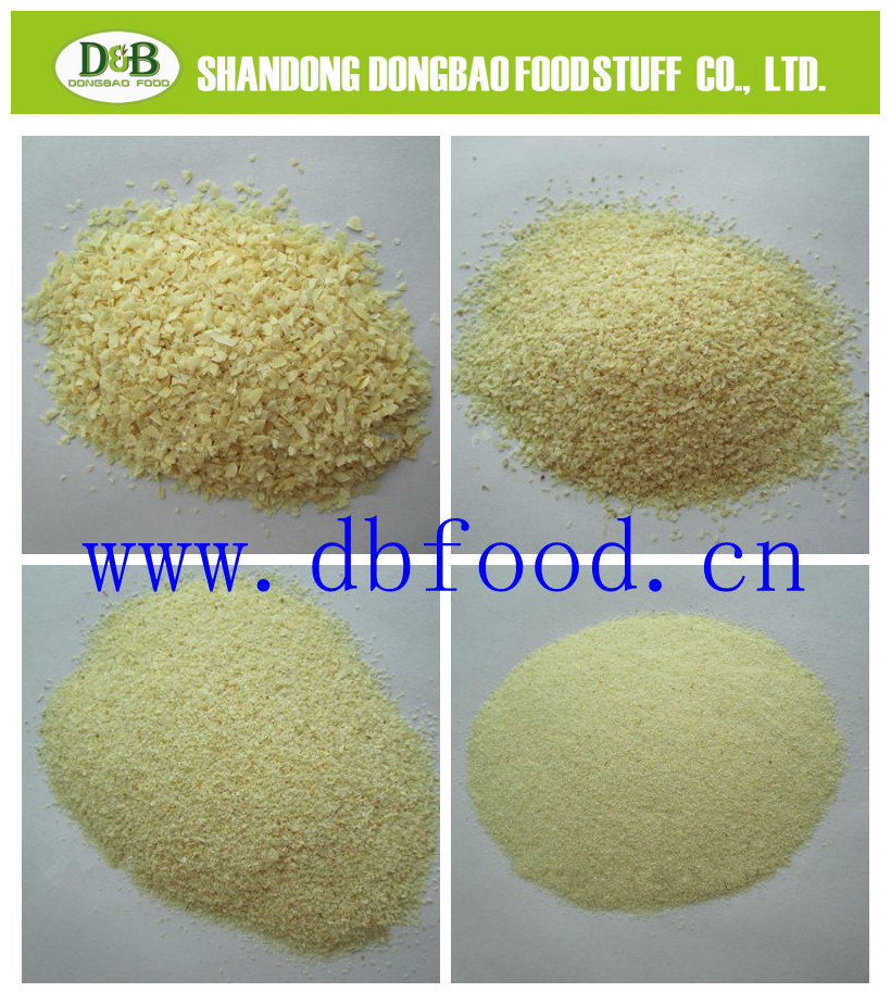 Best Dry Minced Garlic on Sale