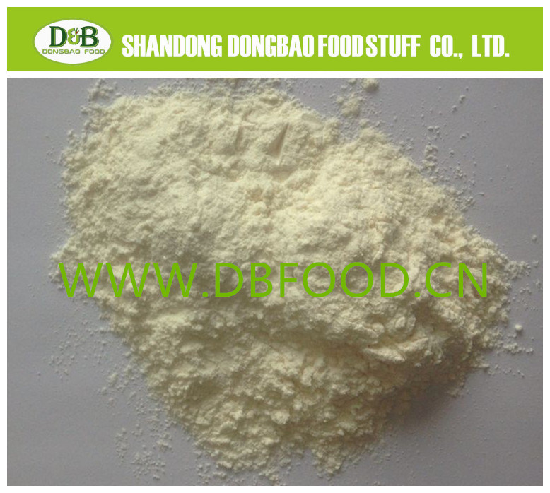 Garlic Powder Is Highly Used for Seasoning & Flavoring