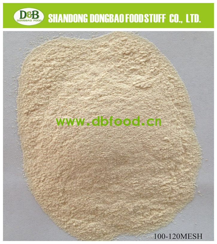 2017 New Crop Dehydrated Garlic Granules 100-120 Mesh