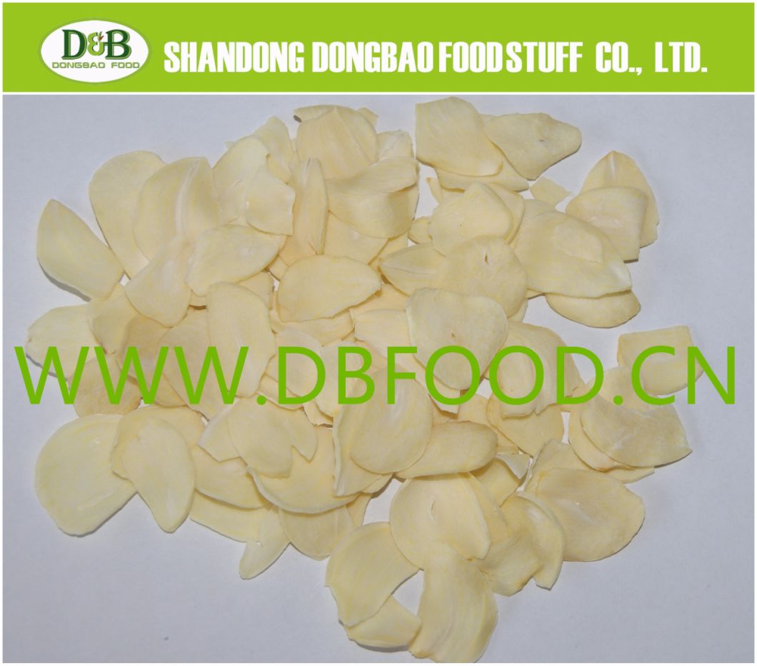 High Quality GMP Standard Ad Garlic Powder/Garlic Flake/Garlic Granules
