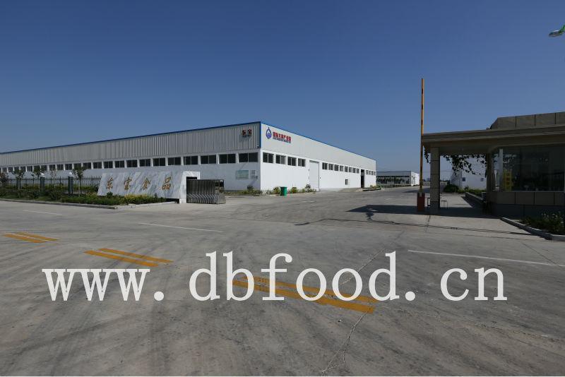 Air-Dried Garlic Products Flakes Slice Granules Powder Factory