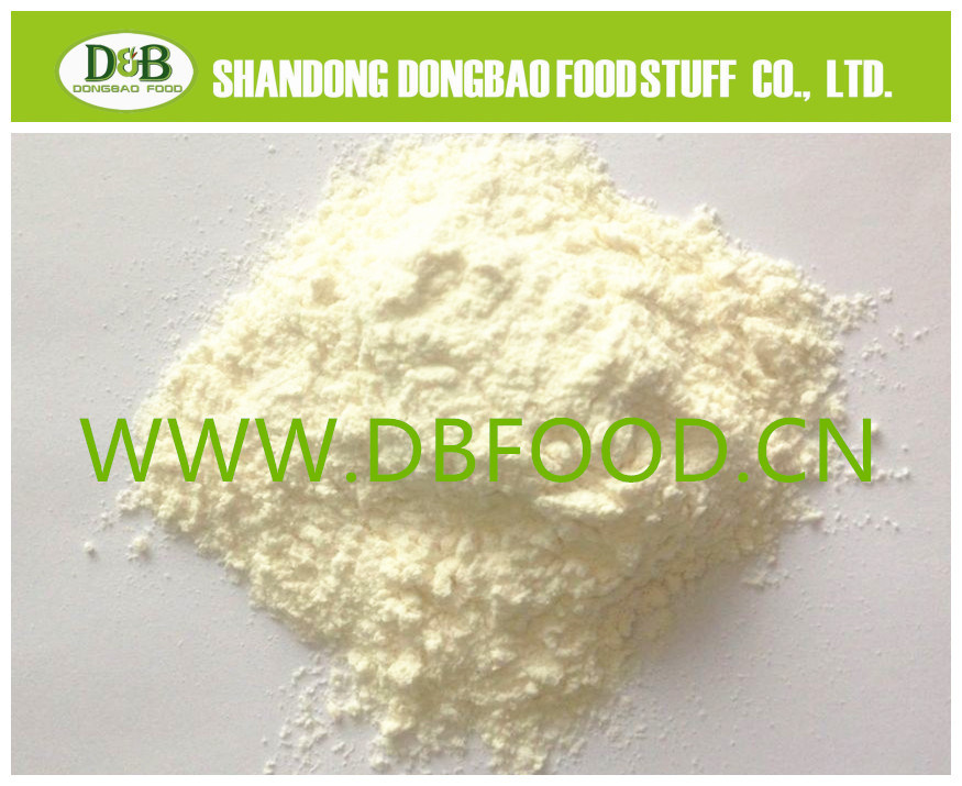Garlic Powder Dried Garlic Powder Dehydrated Garlic Powder Dry Garlic Powder