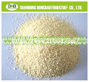 Air-Dried Garlic Products (Flakes, Granules & Powder) From Factory