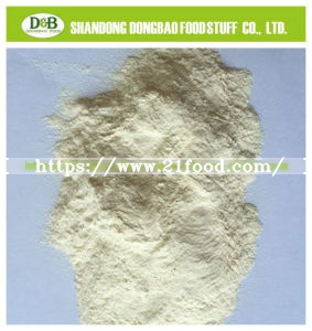 Light White Dry Garlic Powder