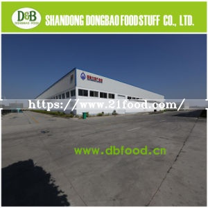 2017 New Crop Dehydrated Garlic Granules 100-120 Mesh