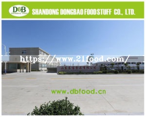 2017 New Crop Dehydrated Garlic Granules 100-120 Mesh